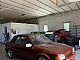 Ford&nbsp;Escort&nbsp;<small><strong></strong></small>