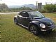 Volkswagen&nbsp;Beetle&nbsp;<small><strong></strong></small>