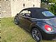 Volkswagen&nbsp;Beetle&nbsp;<small><strong></strong></small>