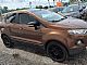 Ford&nbsp;Ecosport&nbsp;<small><strong>EcoSport 1.0 Titanium PDC+KAMERA.SERVIS+JAMSTVO</strong></small>