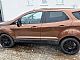 Ford&nbsp;Ecosport&nbsp;<small><strong>EcoSport 1.0 Titanium PDC+KAMERA.SERVIS+JAMSTVO</strong></small>