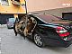 Mercedes-Benz&nbsp;S-Razred&nbsp;<small><strong>S 550 L Avt.-KOT NOV-1 LASNIK</strong></small>