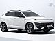 Hyundai&nbsp;Kona&nbsp;<small><strong>1.6 T-GDI 150 PREMIUM N-LINE + EL. PRTLJ. VRATA</strong></small>