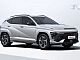 Hyundai&nbsp;Kona&nbsp;<small><strong>1.6 T-GDI PREMIUM N-LINE + WINTER+PTG+RG+AMBIENT</strong></small>