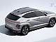 Hyundai&nbsp;Kona&nbsp;<small><strong>1.6 T-GDI PREMIUM N-LINE + WINTER+PTG+RG+AMBIENT</strong></small>