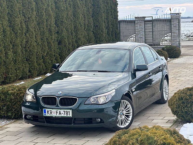 BMW&nbsp;serija 5:&nbsp;<small><strong>520d</strong></small>