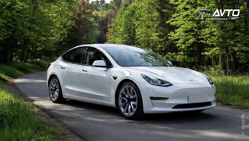 Tesla&nbsp;Model 3&nbsp;<small><strong>Standard Range Plus  1x100kW </strong></small>