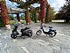 Piaggio&nbsp;Ciao