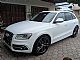 Audi&nbsp;SQ5&nbsp;<small><strong>quattro 3.0 TDI Tiptronic</strong></small>