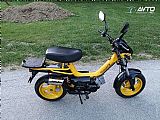 Tomos Youngster