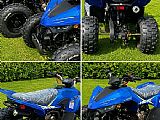 Linhai ATV 110