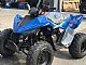 Linhai&nbsp;ATV 110