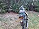 Tomos&nbsp;apn 6s