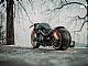 Harley-Davidson&nbsp;V-ROD