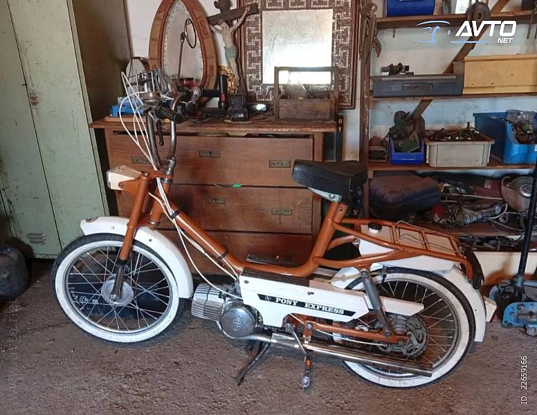 Rog&nbsp;Puch pony