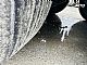 Wielton&nbsp;55 m3 / HARDOX / NAJEM&nbsp;<small><strong></strong></small>