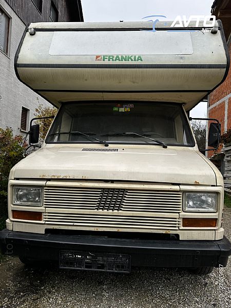 Frankia&nbsp;fiat&nbsp;<small><strong></strong></small>
