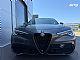 Alfa Romeo&nbsp;Stelvio&nbsp;<small><strong>Q4 2.2 Diesel 190 Sprint Avt.Odli�en</strong></small>