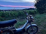 Tomos Flexer 25