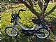 Tomos&nbsp;Flexer 25