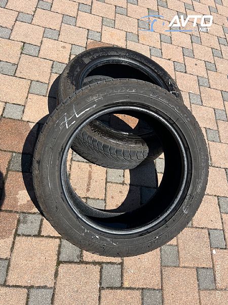 Goodyear&nbsp;Ultra Grip&nbsp;<small>255&nbsp;/&nbsp;50 &nbsp;R&nbsp;19</small>