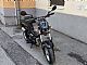 Tomos&nbsp;youngster 45 racing