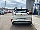 Ford&nbsp;Puma&nbsp;<small><strong>1.0 EcoBoost MHEV Titanium</strong></small>