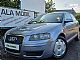 Audi&nbsp;A3&nbsp;<small><strong>1.9 TDI KLIMA-POTOVALNI RA�UNALNIK-SLOVENSKI-1.LAS</strong></small>