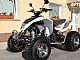 EGL moto 250CC ALI 300CC EGL MAD MAX 3600EUR